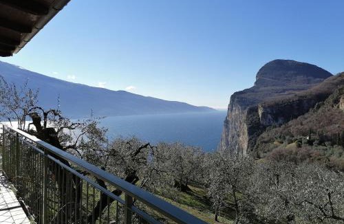 Arias House | Casetta delle olive