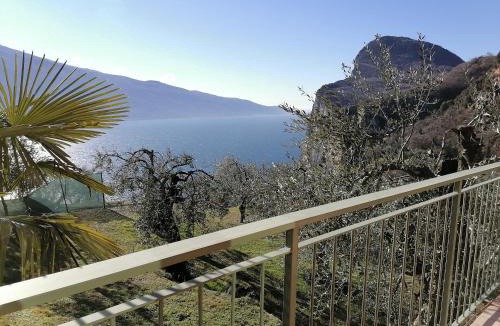 Arias House | Casetta delle olive