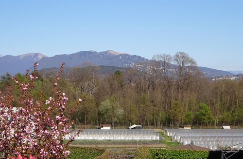 Albiolo Apartment | Close to Como and Switzerland, quiet apartment in villa with private garden