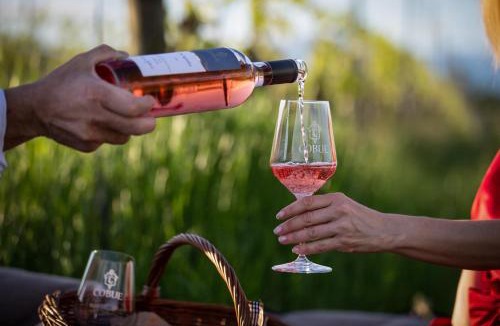 Pozzolengo Apartment | COBUE "Wine resort & Spa"