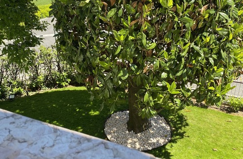 Colombare Apartment | Cozy three-room apartment JOLLY equipped with all comforts, with balcony.