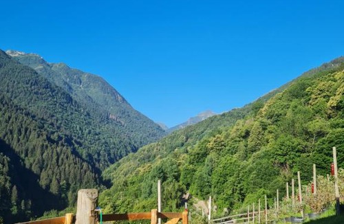 Paisco Loveno Hostel | Foresteria Giardino