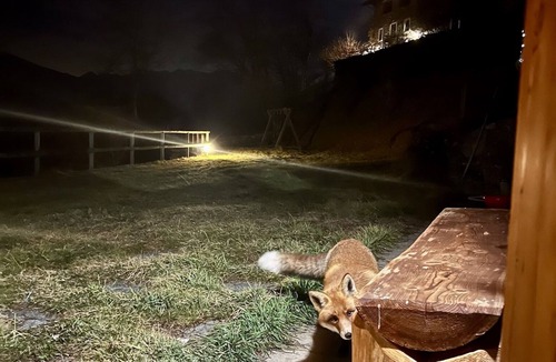 Valtellina Cabin | Fox Oasis. Mountain chalet in the heart of Valtellina