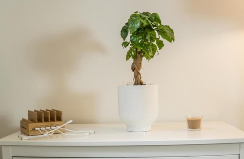 Zentrum-Nord Apartment | FULL HOUSE Studios - The Jungle Apartment - NETFLIX, WiFi inkl