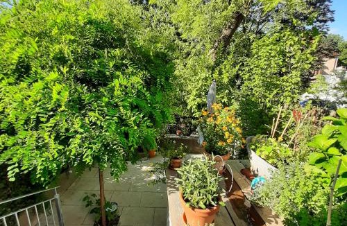 Kriegshaber Apartment | Gartenwohnung