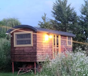Albairate House | Glamping Casetta sul lago