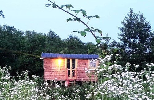 Albairate House | Glamping Casetta sul lago 2