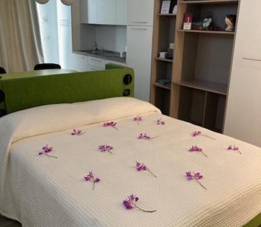Rivalta sul Mincio Apartment | Halloggio98