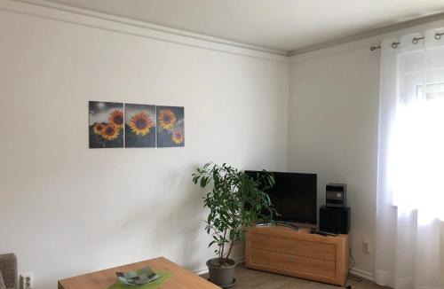 Benneckenstein Apartment | Harzquerbahnblick