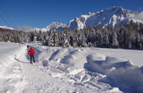 Mittenwald Apartment | Haus Rustikana