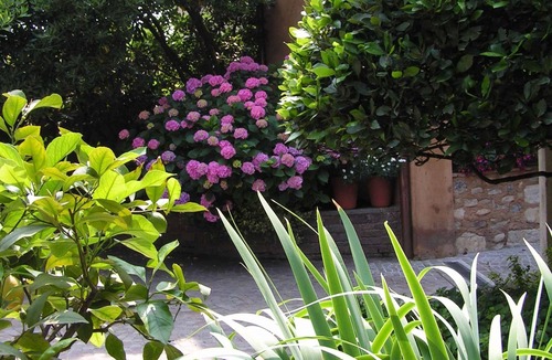 Provezze Apartment | Holiday apartment in a quiet location in the middle of the vineyards