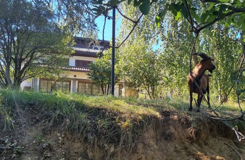 Brenta Hostel | Hostel ∙ 8 guests