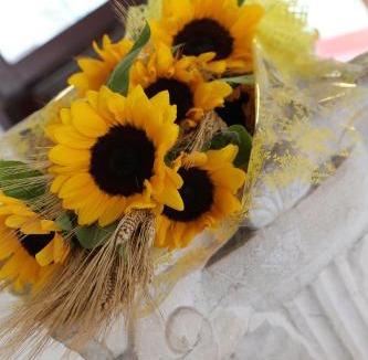 Old Town Hotel | Hotel Mantegna Stazione, MantegnaHotels