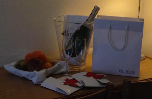 Spino al Brembo Hotel | Hotel Riposo