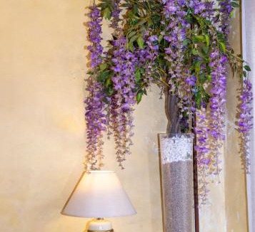 Varedo Hotel | Hotel Victoria