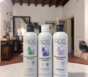 Brescia Antica Bed & Breakfast | Il Cantuccio di Gioia