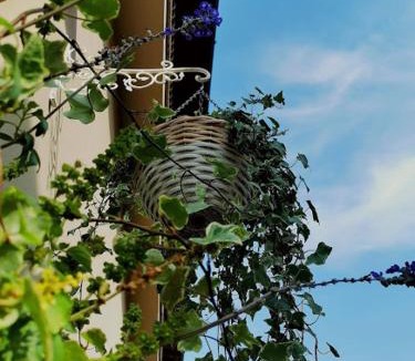 Clusane Apartment | Il Cortile