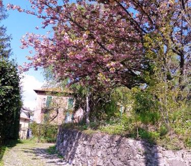 Lierna Apartment | La Cà del Menèc
