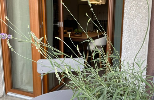 Mazzo Apartment | LaCasadiPI - apartment one step away from Milan-FieraMilanoRho-H Galeazzi-MIND