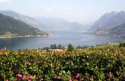 Sale Marasino Apartment | Lago d'Iseo-flat,private garden in residence with swimmimngpool