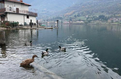Ranzanico Apartment | LakEden