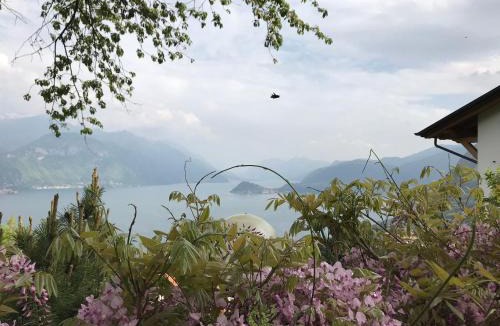 Naggio Apartment | Landscapesilvia Acqua