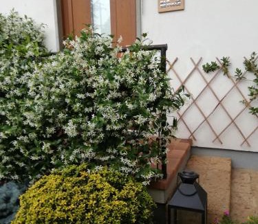 Zanica Bed & Breakfast | Le Betulle