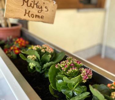 Leggiuno Apartment | Miky’S home