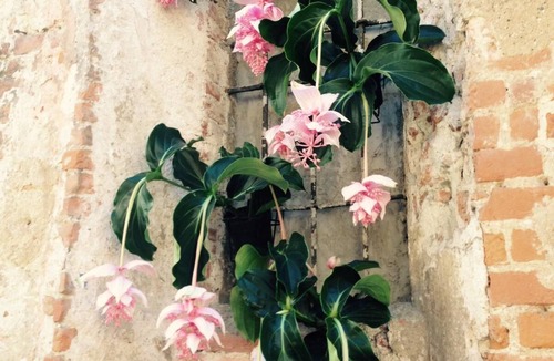 Pavia Apartment | Mood Siro Comi