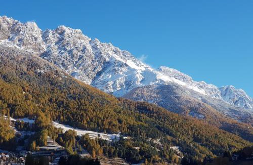 Bormio Apartment | Olympic Chalet 12