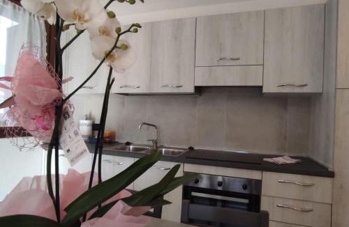 Valtellina Apartment | Orobie Holiday Apartments