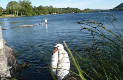 Travedona-Monate Bed & Breakfast | Piccolo Lago