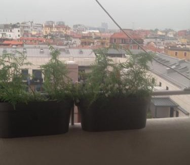 Porta Romana Apartment | Porta romana suite- New cozy Private apartament with 2 bedrooms & 2 bathrooms fully equipped kitchen - Nuovissima Suite completamente arredata 2 camere 2 bagni soggiorno cucina e balcone Metro lsubway Porta romana 3 stops to Duomo Cathedral