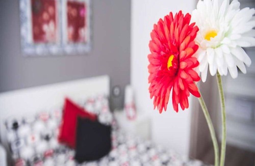 Zona Zara Resort | Private room ∙ 1 bedroom ∙ 1 guest