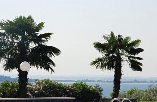 Moniga del Garda Apartment | Residence Primera - Tipo D2 Sous-Terrain (3100)