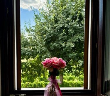 Pozzolengo House | Residenza Le Vigne