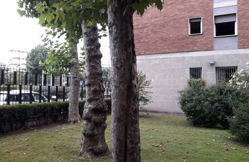 Crescenzago Apartment | San Raffaele Città Studi Politecnico CIN IT015146C2F3B9XNN