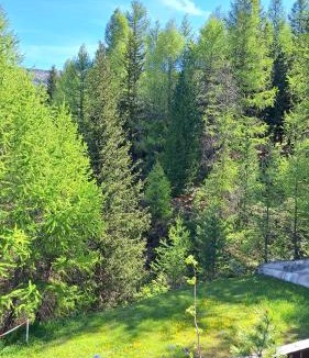 Teola Apartment | TeolaHaus con vista panoramica su Livigno