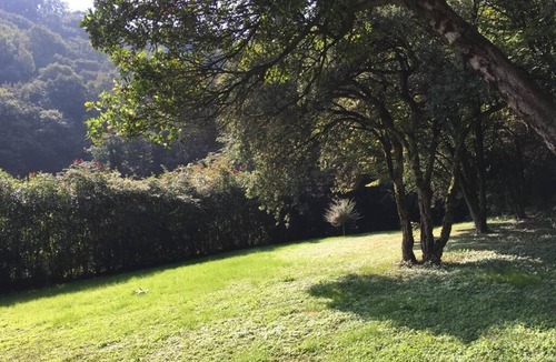 Bergamo House | .tGreen in the city exists: discover it at the Hedgehog Mansion with your furry.