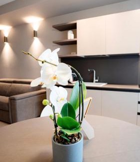 Citta Bassa Apartment | The Corner Bergamo Elegant Apartments
