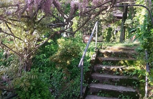 Brunate Apartment | VACATION HOME LE VIOLETTE