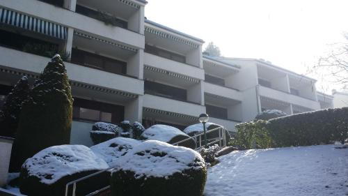 Introbio Apartment | Valsassina Rent