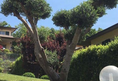 Pozzolengo Villa | Villa Elisa Relax