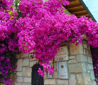 Limone sul Garda Villa | Villa Fior di Loto
