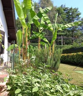 Venegono Superiore House | Villa Mary