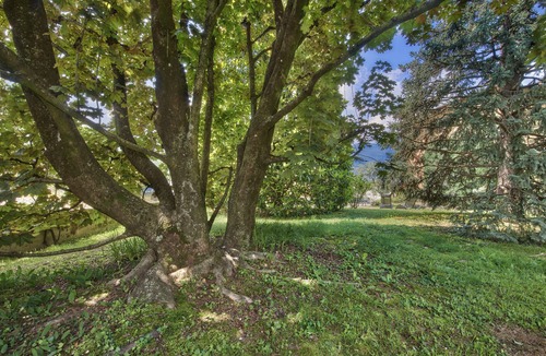 Lierna Villa | Villa 'Rosa' with Lake View, Wi-Fi and Air Conditioning