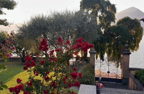 Calozzo Villa | Villa Vica - by MyHomeInComo