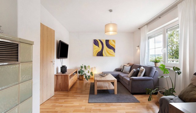 Apartment 'Friedmann' with Private Garden, Balcony and Wi-Fi