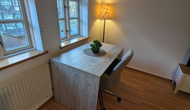 Apartment Lehmann 1 in Wolfenbüttel city center with ground floor and upper floor on 220m2