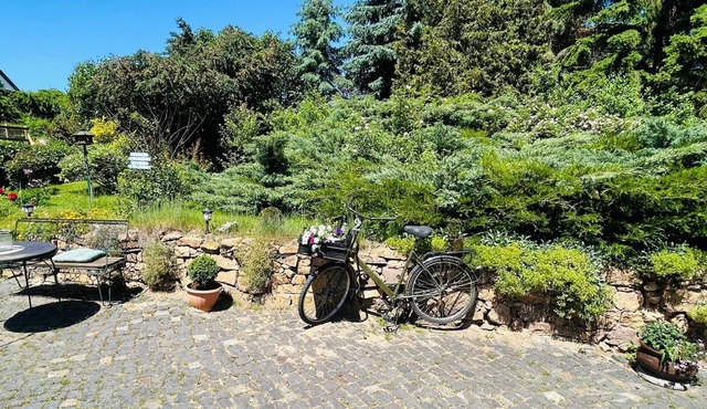 Bella's Eden 1 romantic vacation in the countryside directly on the Mulde river